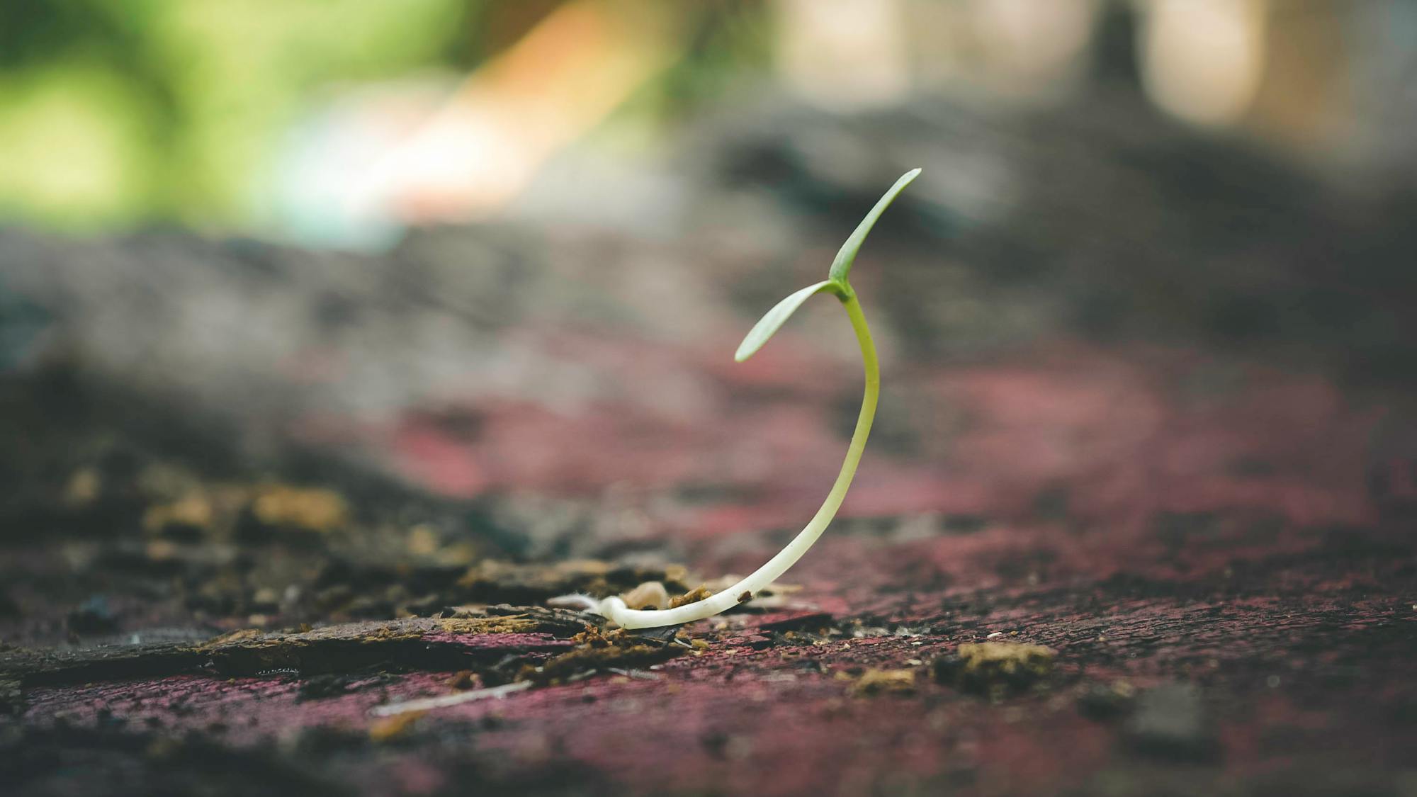 Hope as Core Value