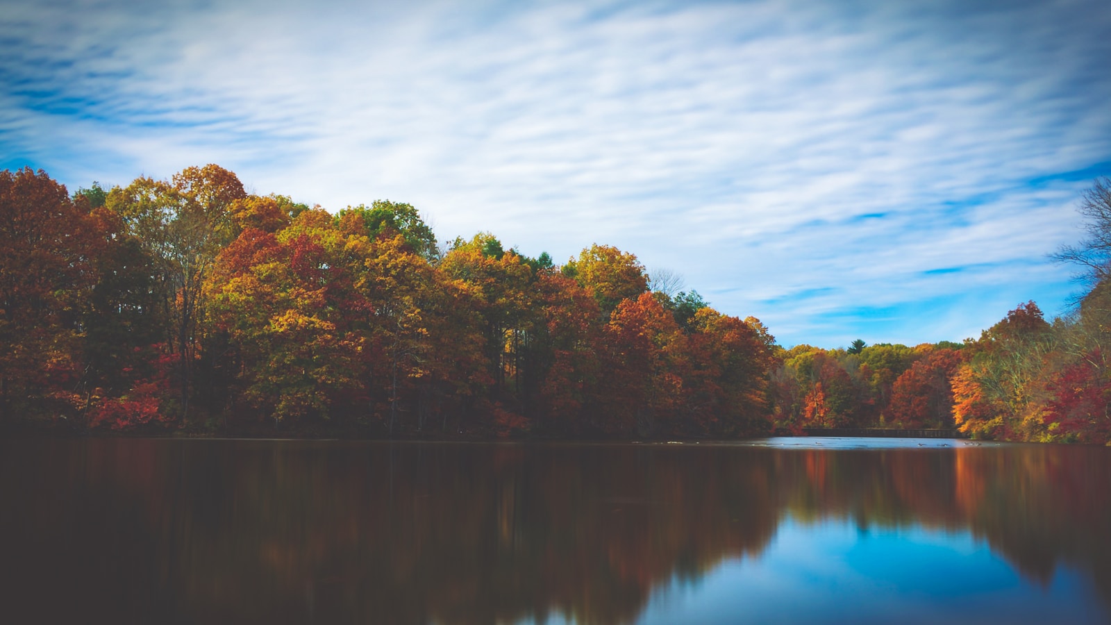 Peace as Core Value